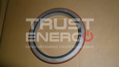 Сальник (130х170 х13)вала коленчатого задний TDS 280 6LT/Rear oil seal